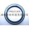 供應(yīng)CFW油封